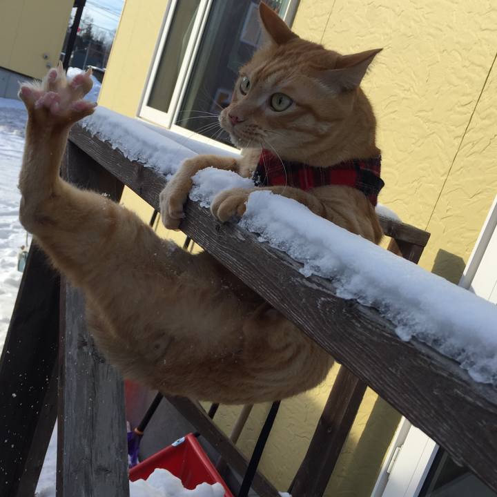 9049a760 91ab 4d7b 8992 c67f7b330128 1515046045981