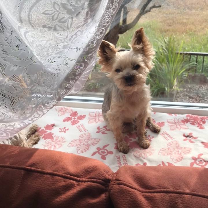 9049e76f a110 4c76 b178 4d8c54d56489 1601539847404