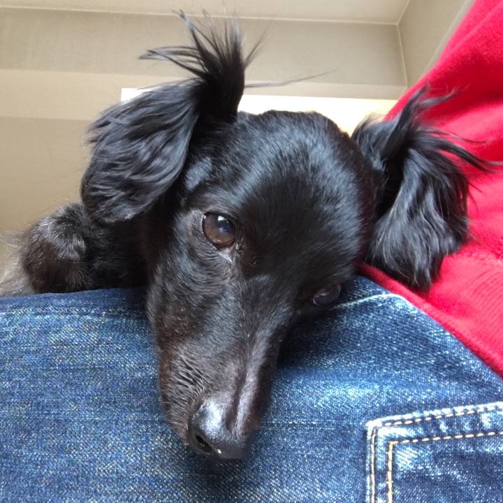 9049ee5c ef32 4f9b a6f3 698b2c0a2c6c 1597188241351