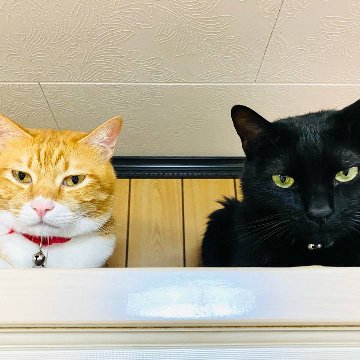 904a00d9 f9a2 4e40 9ab9 e7fdf1d8ae66 1729866172009