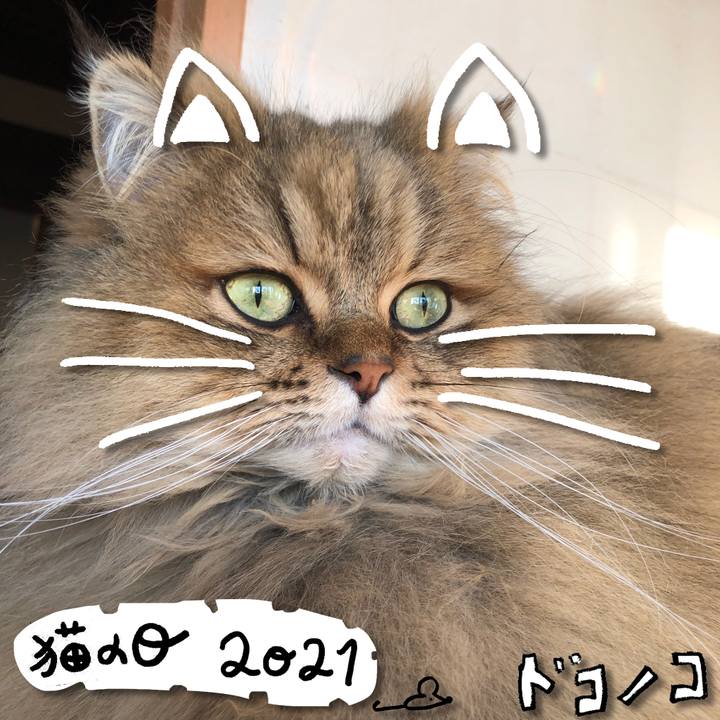 904a189e 8920 487e b71f 2ff36e041ab0 1613979100881