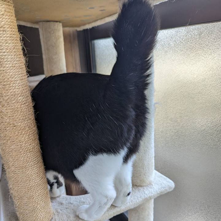 904a24bd d8bb 4123 ac22 763d86739151 1711516206172