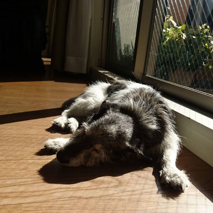 904a8378 5646 4ba9 abe5 14208b367dcb 1586185563669