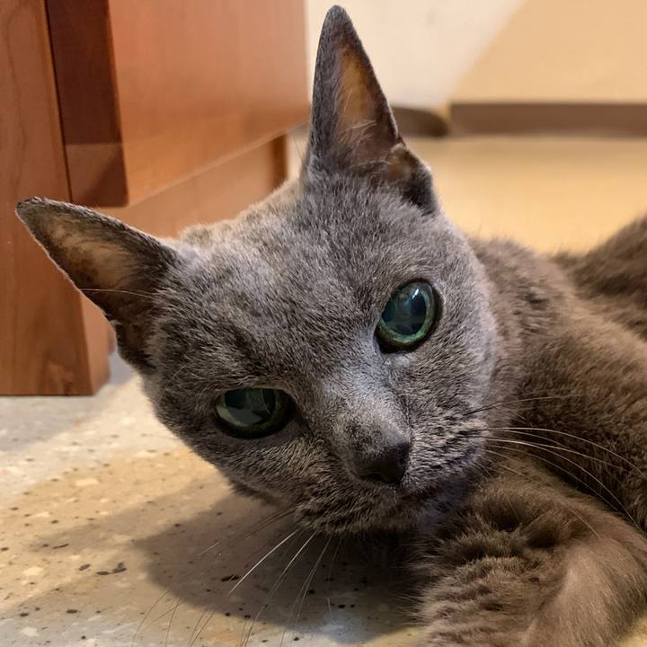 904ab585 e6b1 4c31 b9fa d29a913c592c 1687818554678