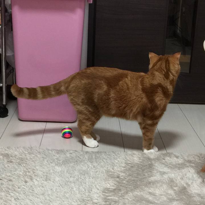 904ad573 d2c6 42b9 b057 a479256f175b 1519045489832