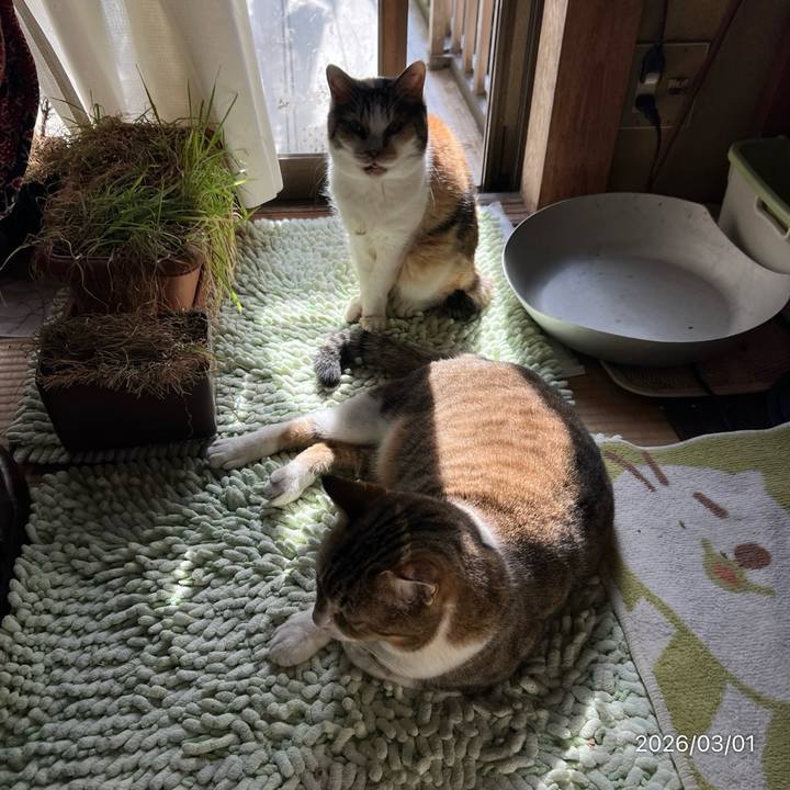 904ae718 ce08 4773 9122 e46f1b1eb519 1772327356298