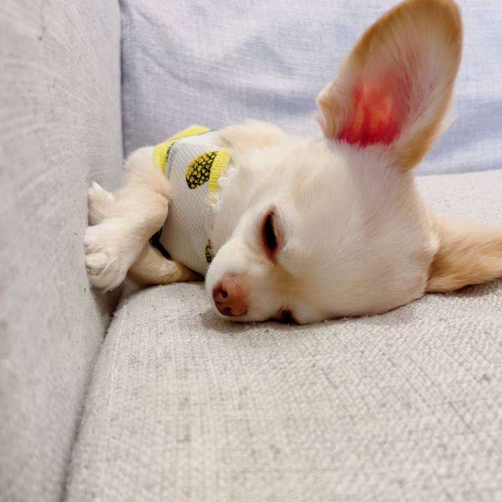 904af4d5 eec0 4eda 9af7 77fc4fe76106 1722169607750