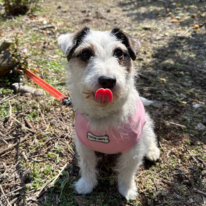 904b225a 79c7 422f a052 65f7d360d18a 1771071416706