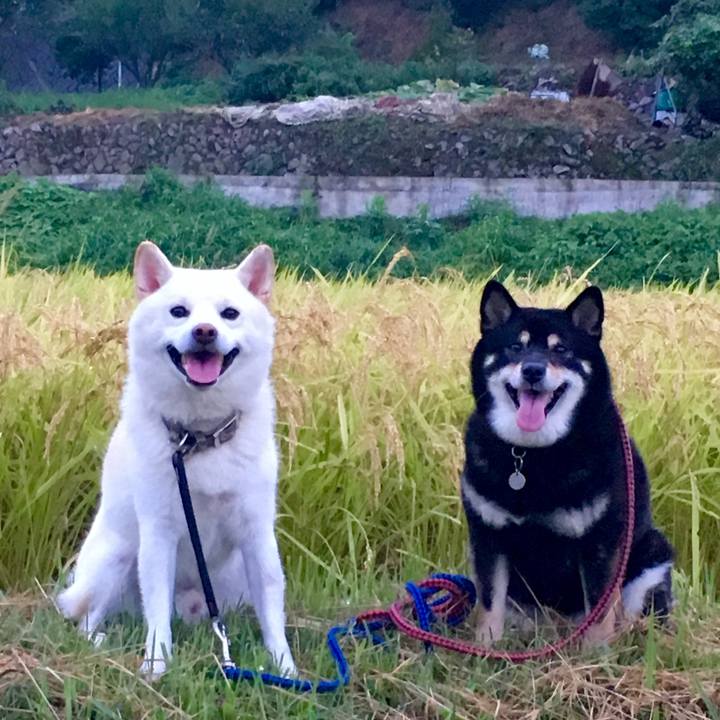 904b8bfa faf4 4f63 bc1d 60bb7a8603b8 1535365401724