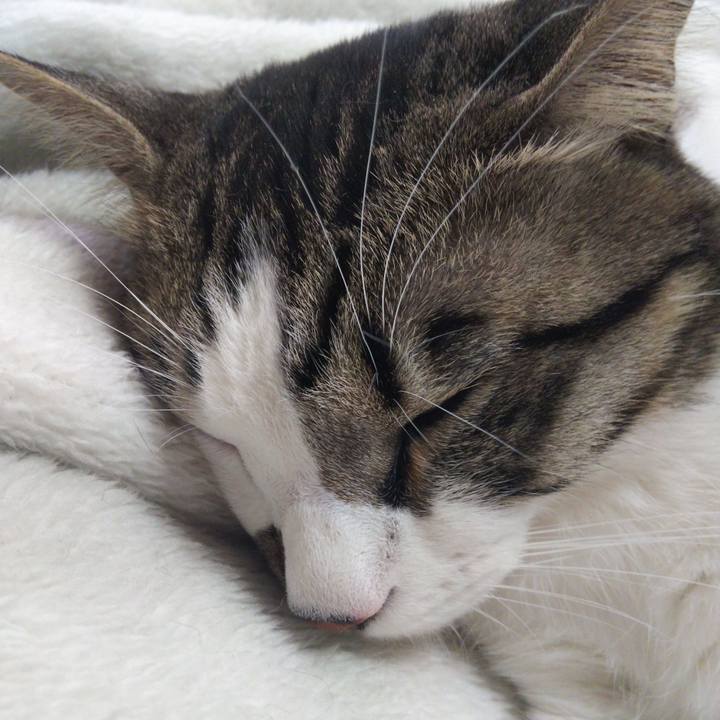 904bafb6 13ad 4287 b4ed 5dbcc9042bec 1645771064763