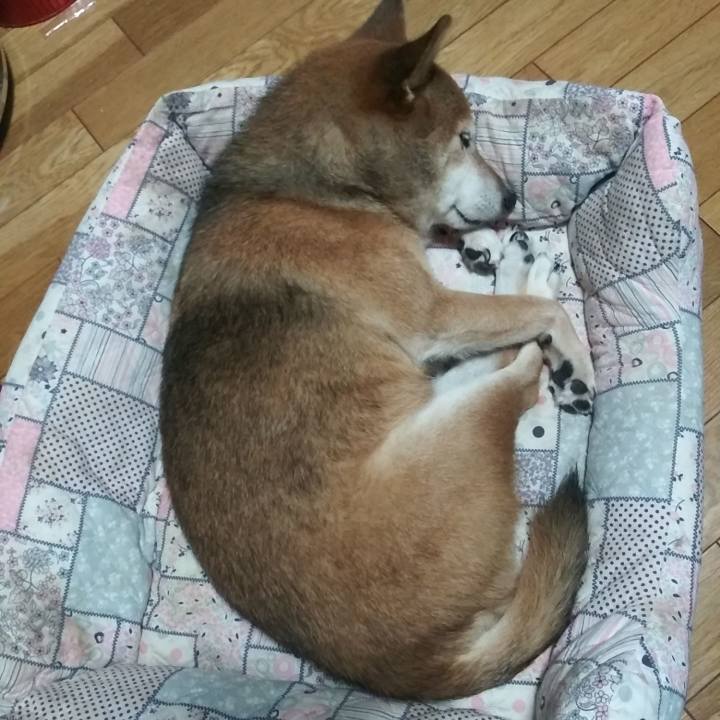 904bb5b8 c5f1 4b77 a1f6 1a959f57cfc6 1630587108859