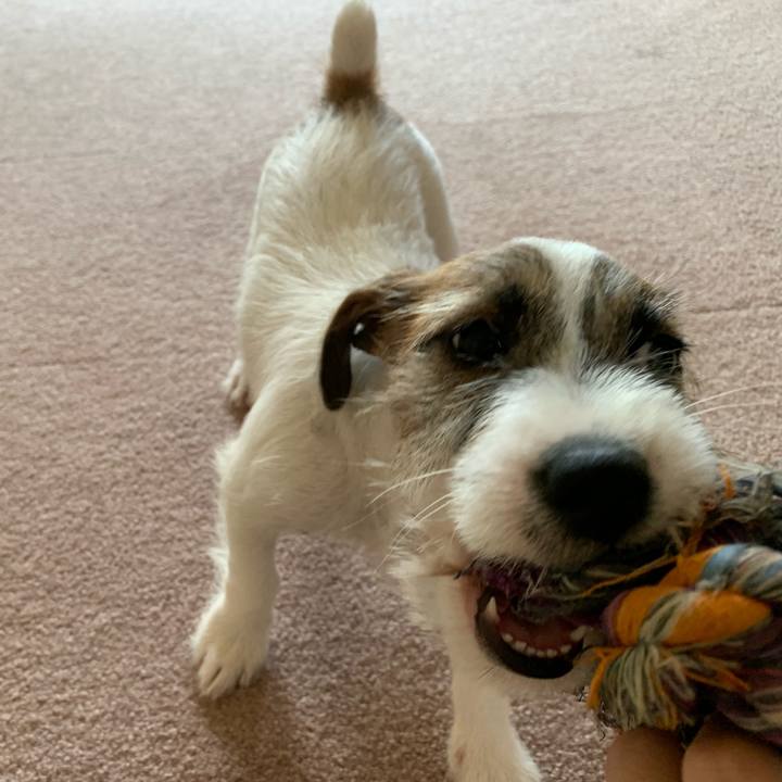 904bcdee 4b04 45df 9a67 2f233b0715c1 1561518989038