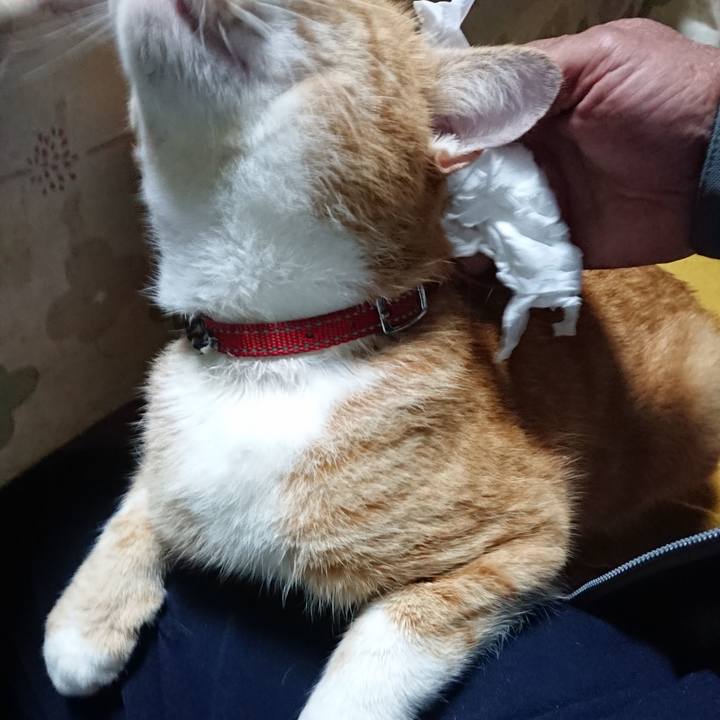 904bd061 3b8f 4efd aa2b e7c8b212c170 1570840420138