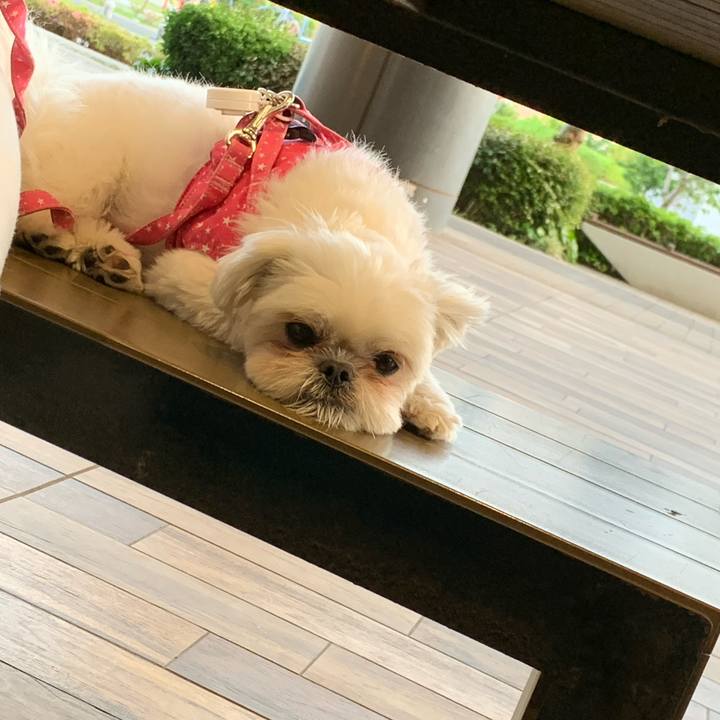 904beff3 1c87 4379 a6d0 07b95d49e789 1683639152694