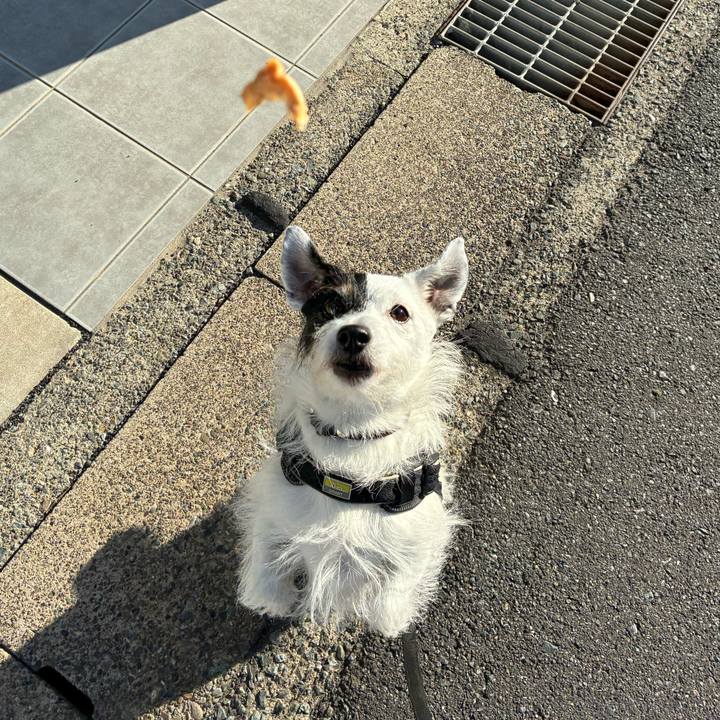 904c394d 0cff 49d2 918f e30525353ae5 1762125843681