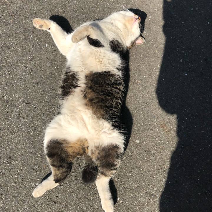 904c8c0f 7019 46ba 85da ecd0617c1a8f 1519123022062