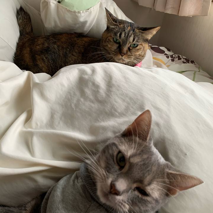 904ca0f8 08ae 44a6 be1f 1d73e15c5518 1615548698103