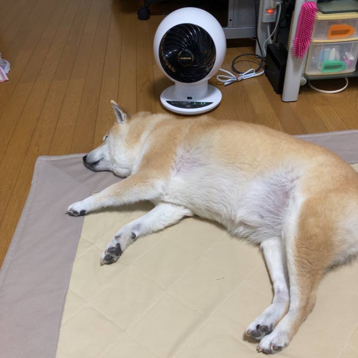 904cb8c2 68a4 4f35 930f 9cdbfaa9bb90 1622946820423