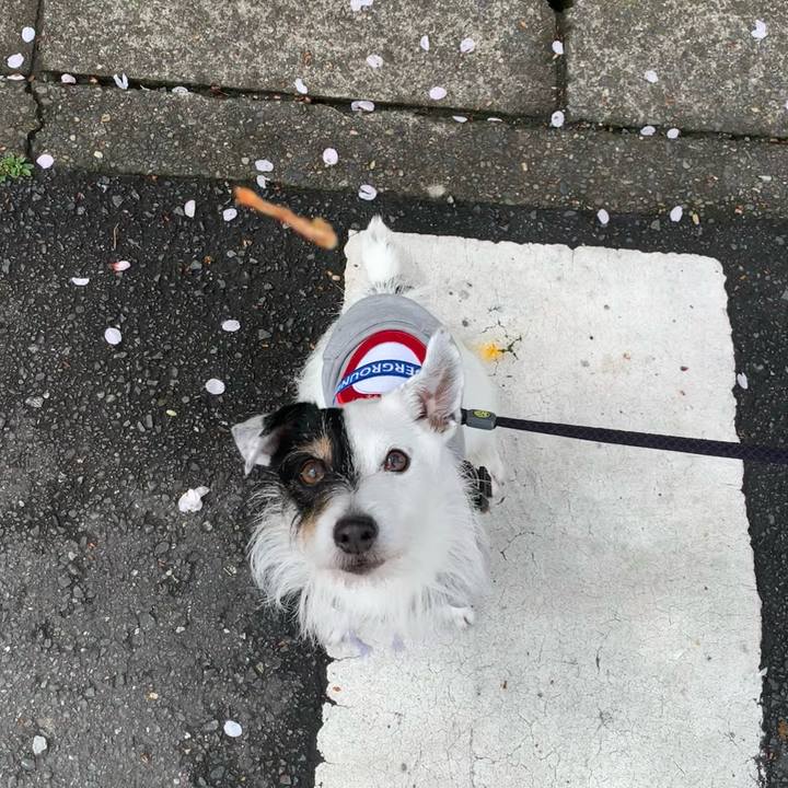 904d090a 5e6e 4bba b7d4 5879c44e0850 1712456256367