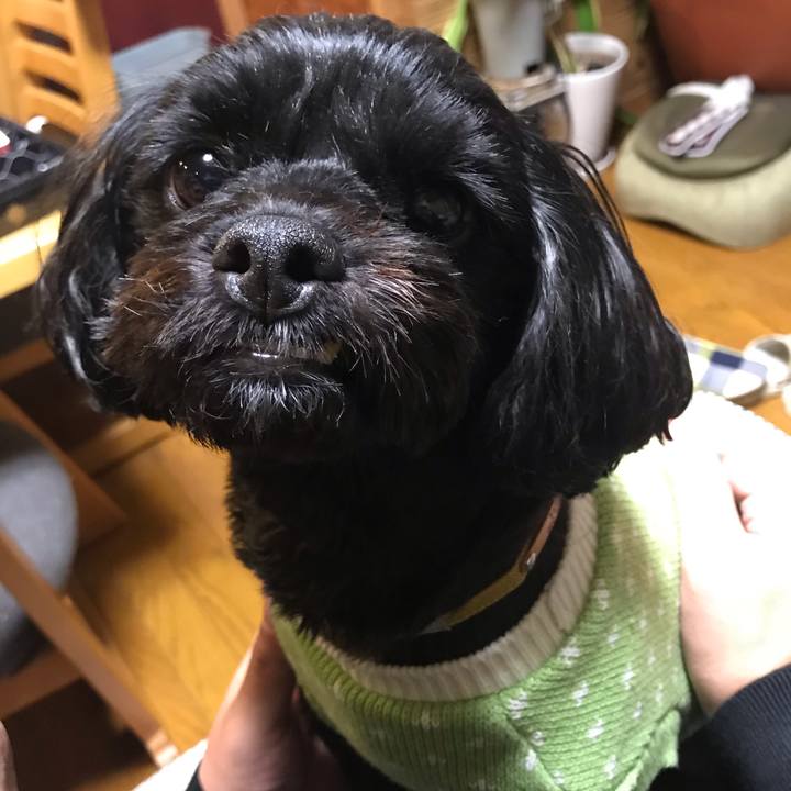 904d2cfe 73ab 4b05 81ec d13914ef601a 1542377281969