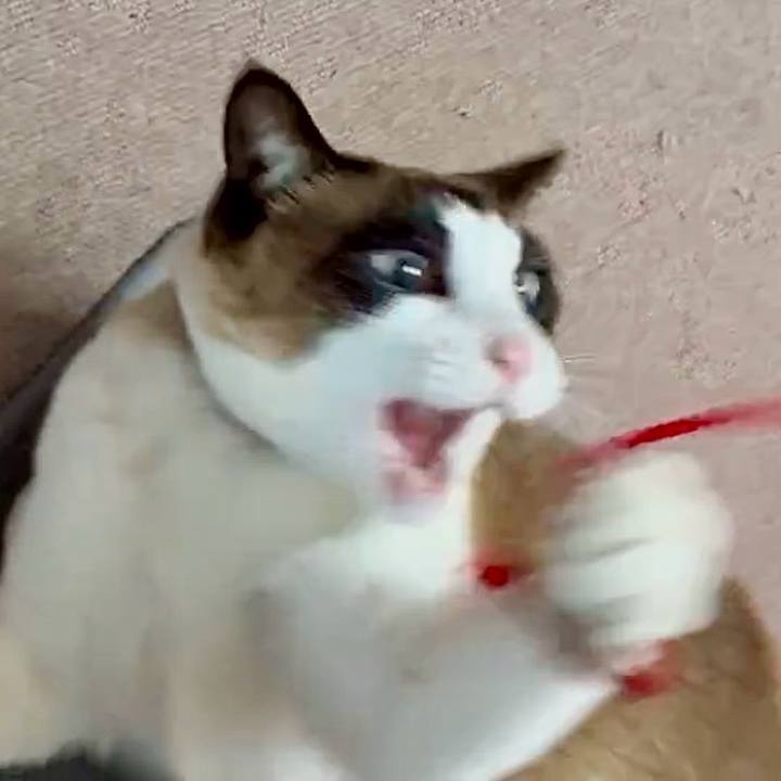 904d402e 8561 4580 ba97 c8e28cdec632 1745636663762