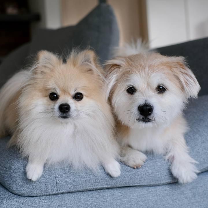 904d5222 75d8 41a7 915d e2ce9f497354 1758407100821