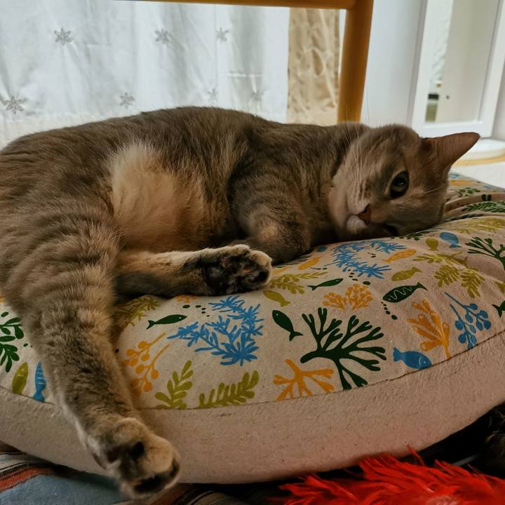 904d70c5 2bd0 4175 976c d6458d2a4699 1624198103145