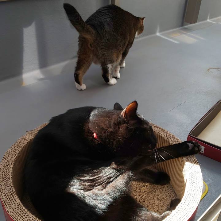 904d7d6b a4ec 4aa2 91ce a78be15b61be 1560666246115