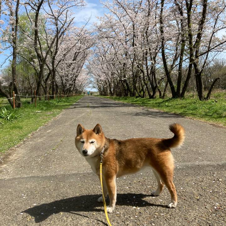 904d9282 3213 4657 91ea d34b0c9456d4 1648882945966