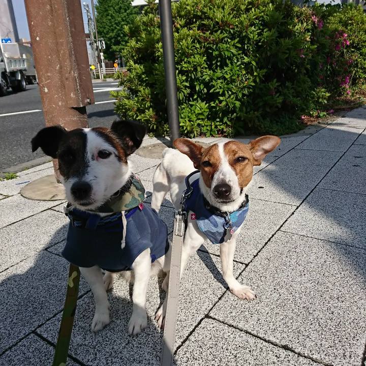 904dc75d f414 4368 8728 d99d9aca6c08 1526080092349