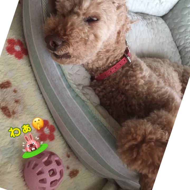 904e0794 31b7 4b5c ad49 1770ad228487 1529456189016