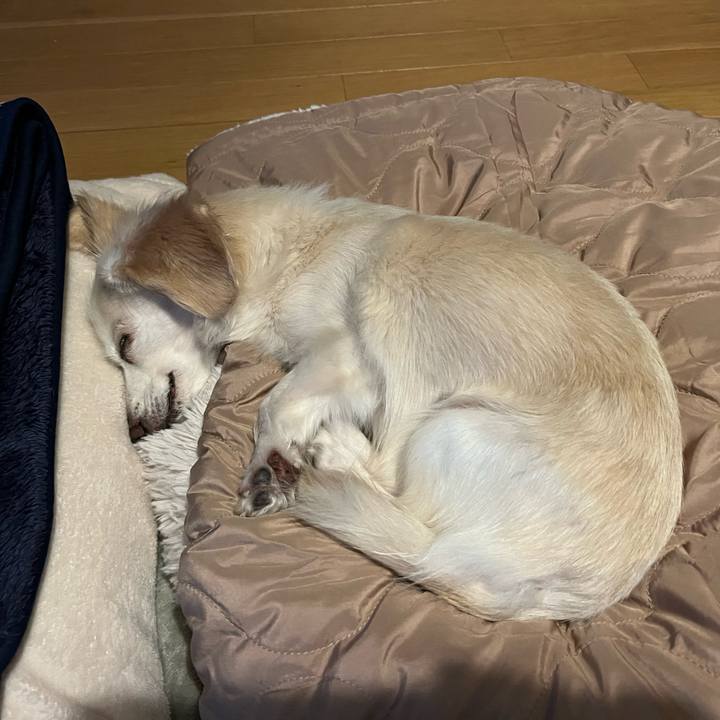 904e264c 4660 4d30 8fa1 8a9d5fffde1f 1699088424231