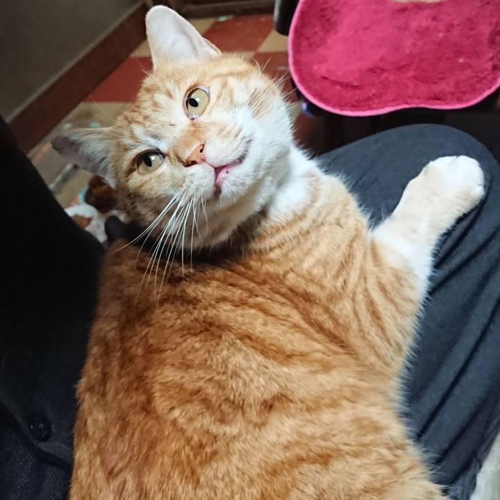 904e439c 64f7 4d7b b9fe cb0721c3a5eb 1580374898251