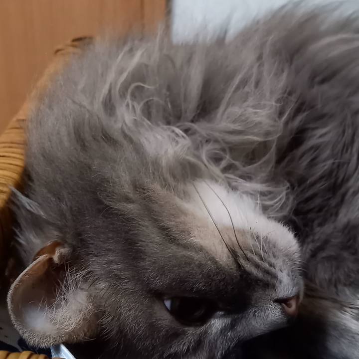 904e4f05 99f9 444b b3f0 653267fec08e 1622410921319