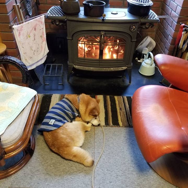 904e8765 f37a 4030 972c e920b1edcc95 1579216026302