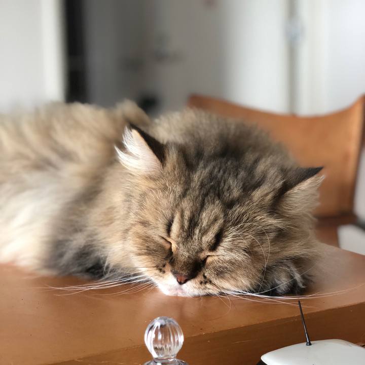 904e8d10 16f5 43b5 bcc6 78d03058f16e 1536995382832