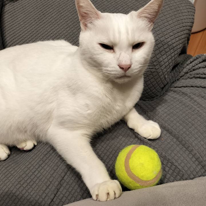 904e8d54 1b6d 4be8 a092 1c02e0d16c58 1768193940926