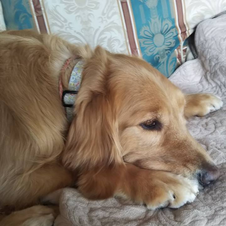 904e9a68 2a6d 4864 afe2 97e87282a1db 1551227344478