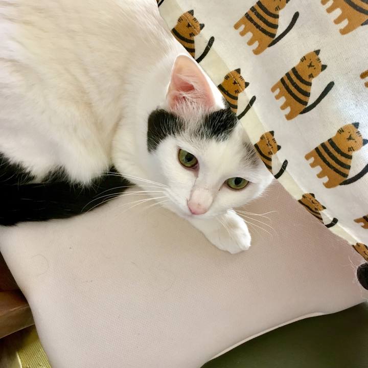 904ea3be 117b 472f b96d e4505b7826f7 1555969724671