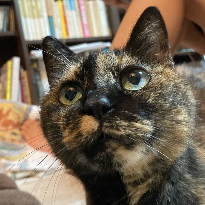 904f357d 4e01 428c 82f8 f964f16fb17a 1631445090172