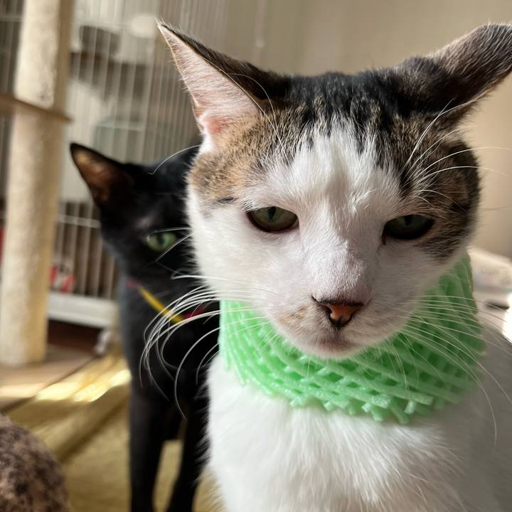 904f4381 43f5 4225 94ae f3f76476a0b5 1768141905100