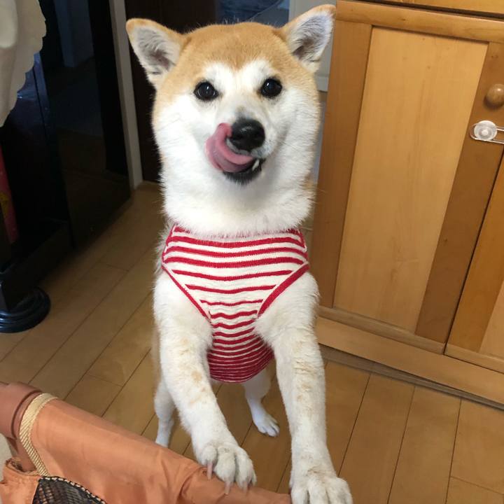 904f53b9 a47e 46bb 9d7e 37dab2e8c299 1551152512024