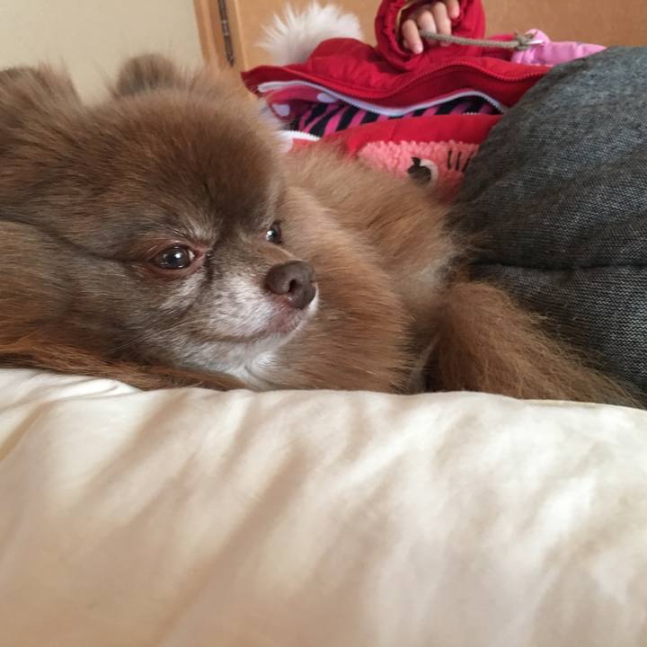 904f897a b7c2 4c7a 8d29 dc580704e698 1515647314691