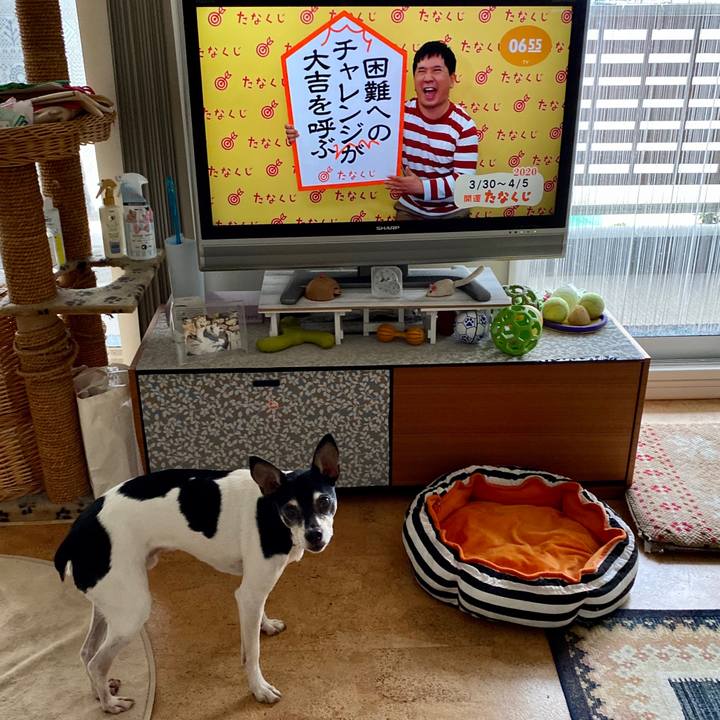 904fc7a3 f7ac 44ee b87d 8fe94bb87a28 1585519428941