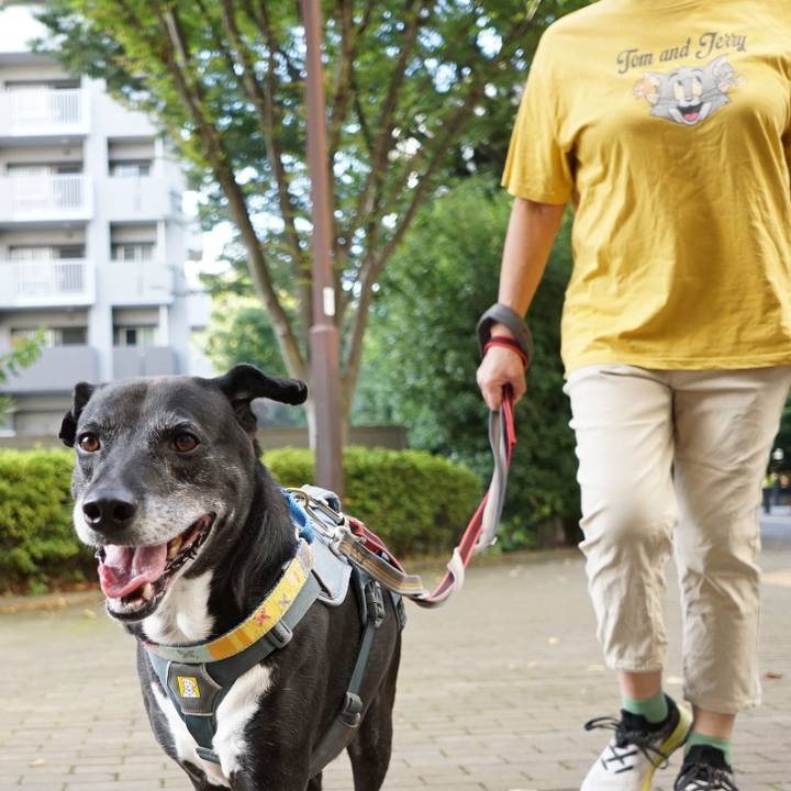 90500b97 317d 4611 a52f 18ae98fa0efe 1758502315064