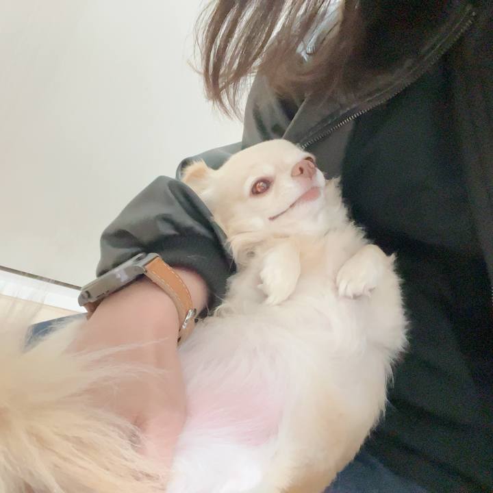 90501393 2648 4553 9938 98e00fc1e8a5 1731497620832