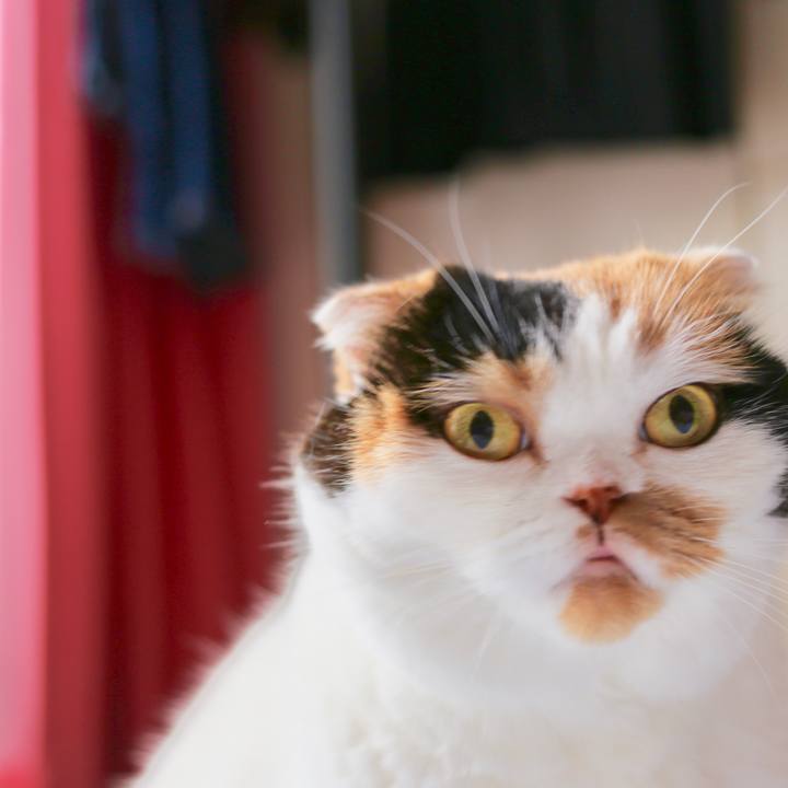 90502bdc b6a3 4b51 aa80 ada26f97969a 1565301568080