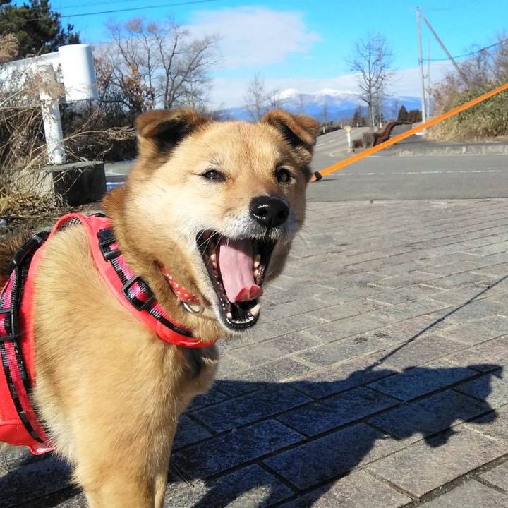 9050352a ab1e 4b5d 90a8 79ee57b42250 1642333059556