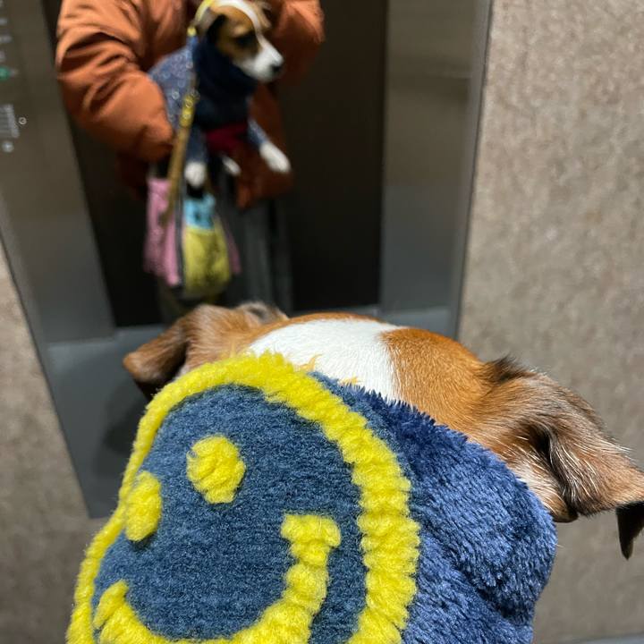 905086d1 8691 4c1f a7cf 2e266a972c68 1646288320841