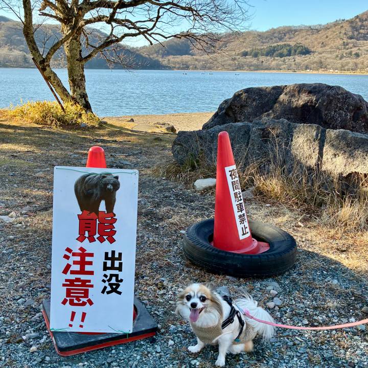 9050b45d 38c4 41e5 8ab2 ec755c796a17 1763803661595